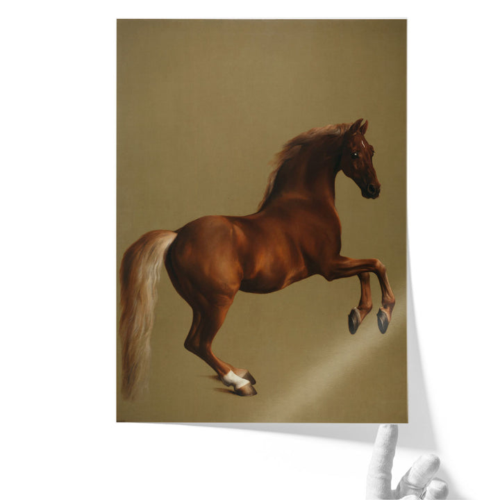 Whistlejacket - Canvas Print Wall Art