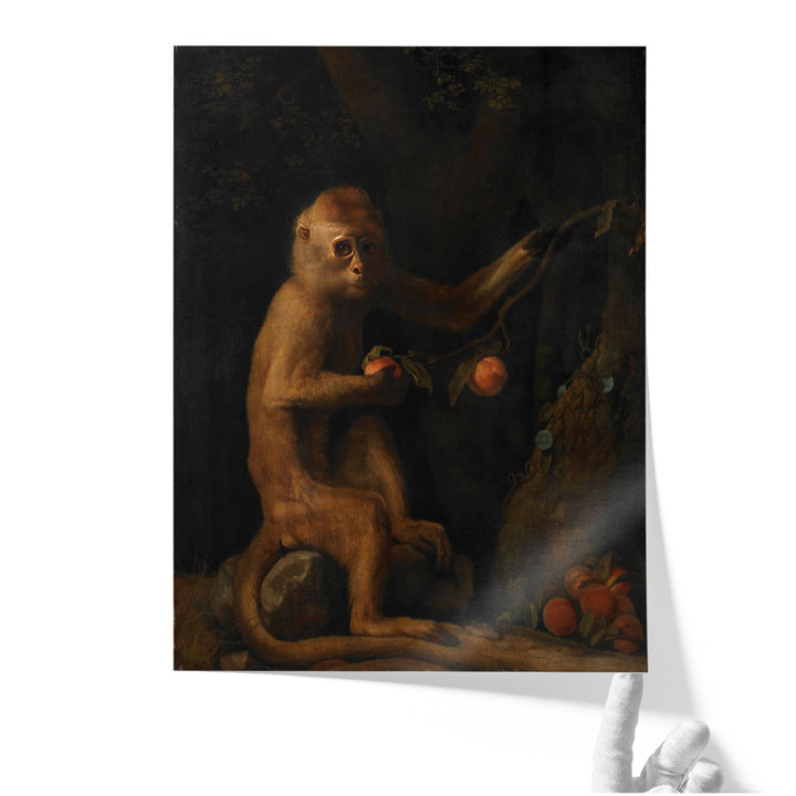 A Monkey, 1799 - Canvas Print Wall Art