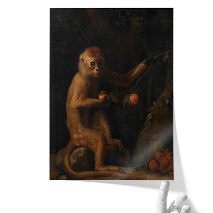 A Monkey, 1799 - Canvas Print Wall Art