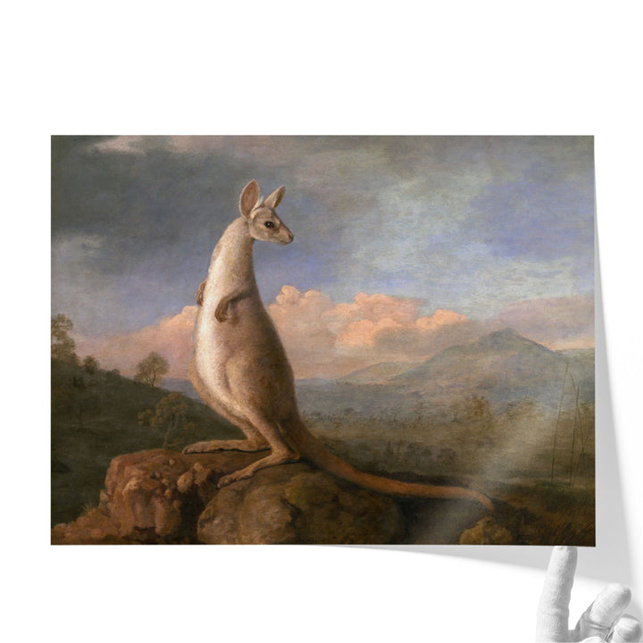 The Kongouro from New Holland - Canvas Print Wall Art