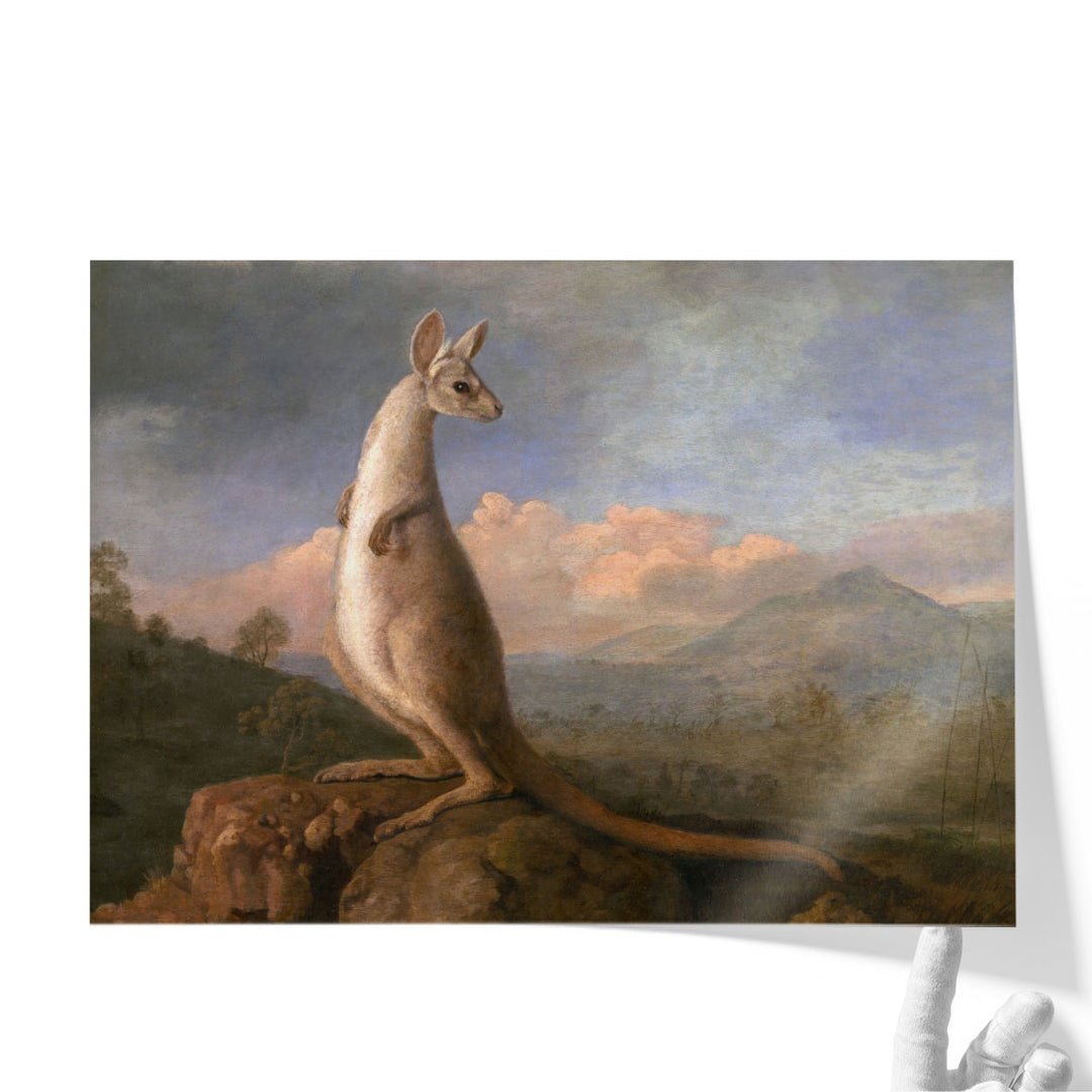 The Kongouro from New Holland - Canvas Print Wall Art