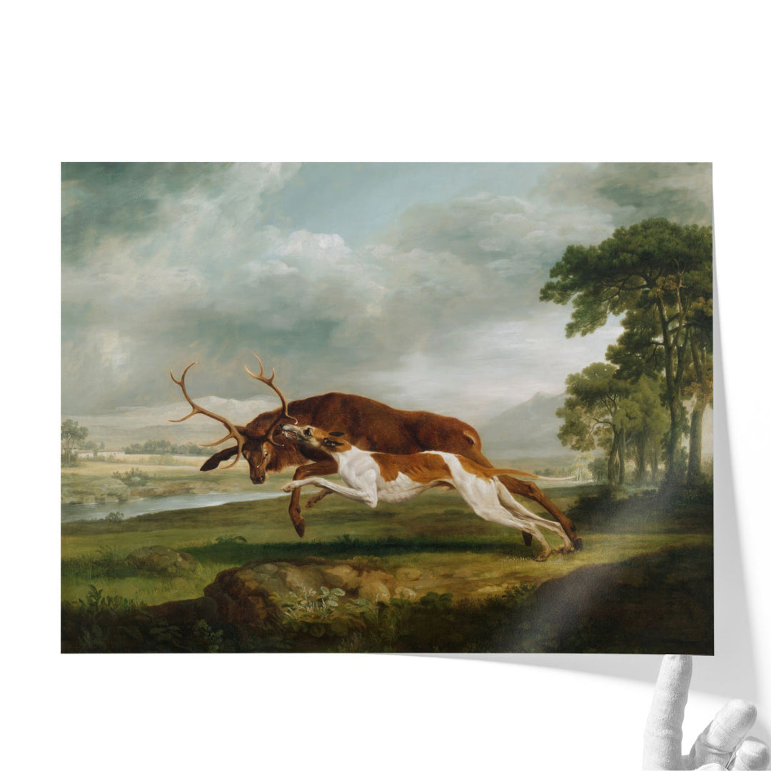 Hound Coursing a Stag, 1762 - Canvas Print Wall Art