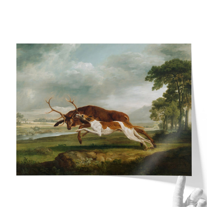 Hound Coursing a Stag, 1762 - Canvas Print Wall Art