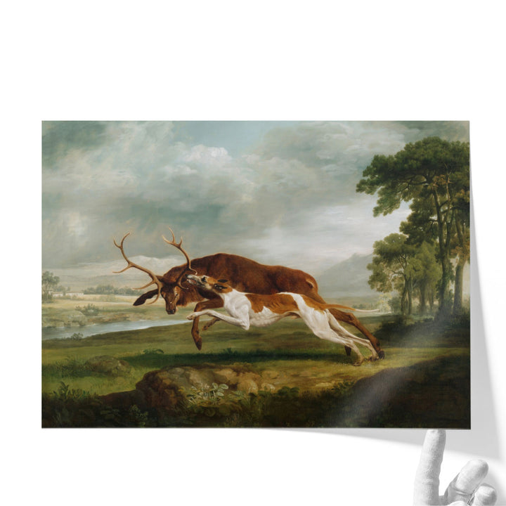 Hound Coursing a Stag, 1762 - Canvas Print Wall Art