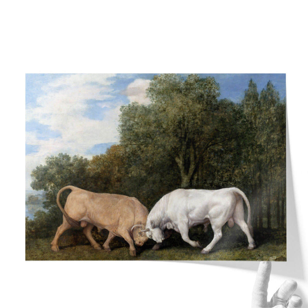 Bulls Fighting, 1786 - Canvas Print Wall Art
