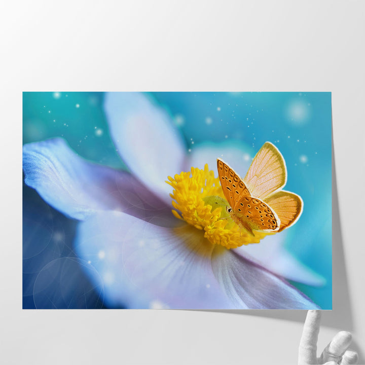 White Anemone Flower With Yellow Stamens and Butterfly - Canvas Print Wall Art