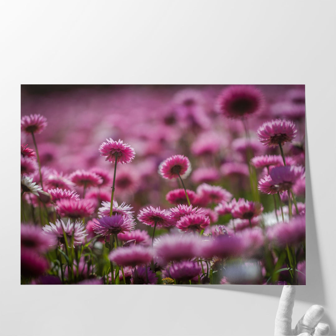 Wildflowers Field - Canvas Print Wall Art