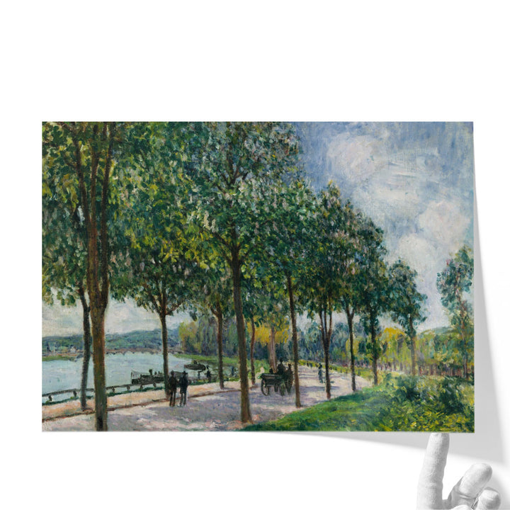 Allwee of Chestnut Trees - Canvas Print Wall Art