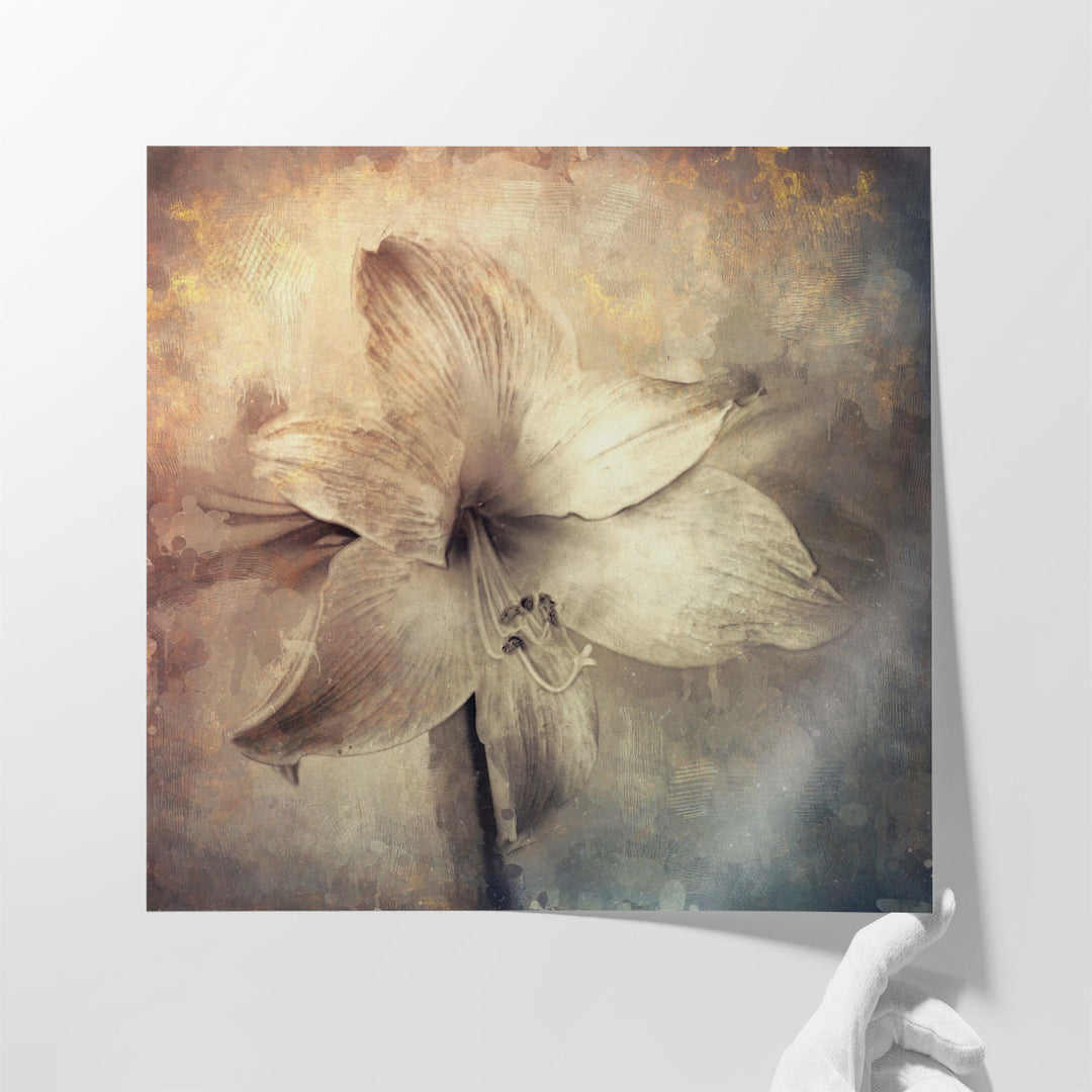 Amaryllis Flower with Artistic Monotone Textures - Canvas Print Wall Art