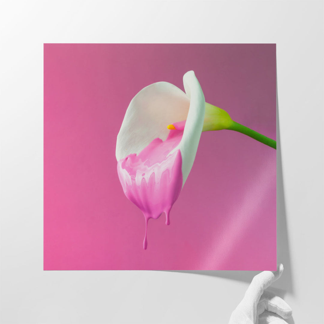 Calla Flower with Dripping Pink Paint - Canvas Print Wall Art