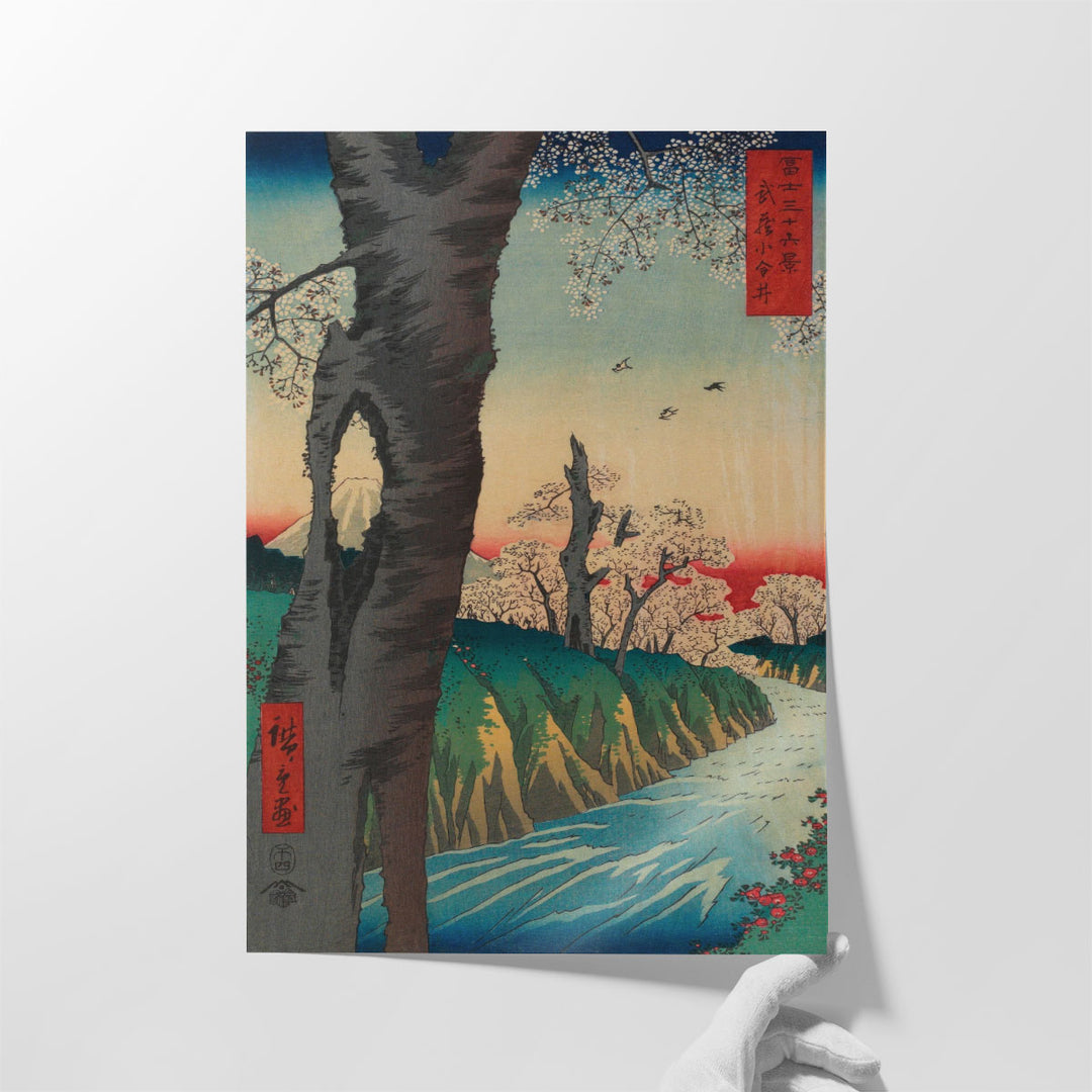Koganei in Musashi Province - Canvas Print Wall Art