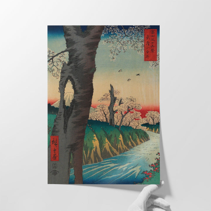 Koganei in Musashi Province - Canvas Print Wall Art
