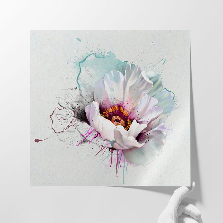 White Poppy Closeup and Watercolors - Canvas Print Wall Art