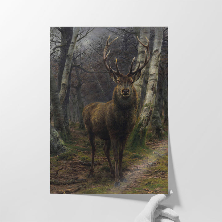 King of the Forest - Canvas Print Wall Art