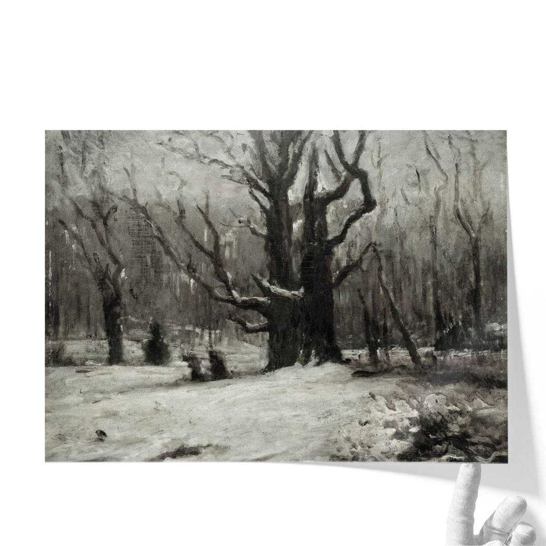 Winter Landscape - Canvas Print Wall Art