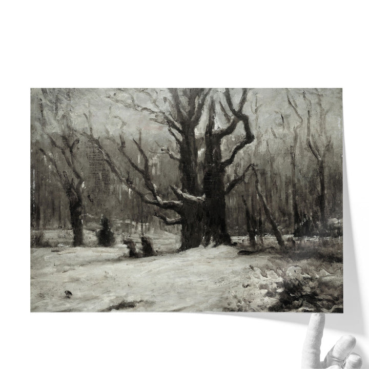 Winter Landscape - Canvas Print Wall Art