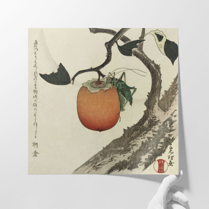 Kakivrucht Met Sprinkhaan - Canvas Print Wall Art