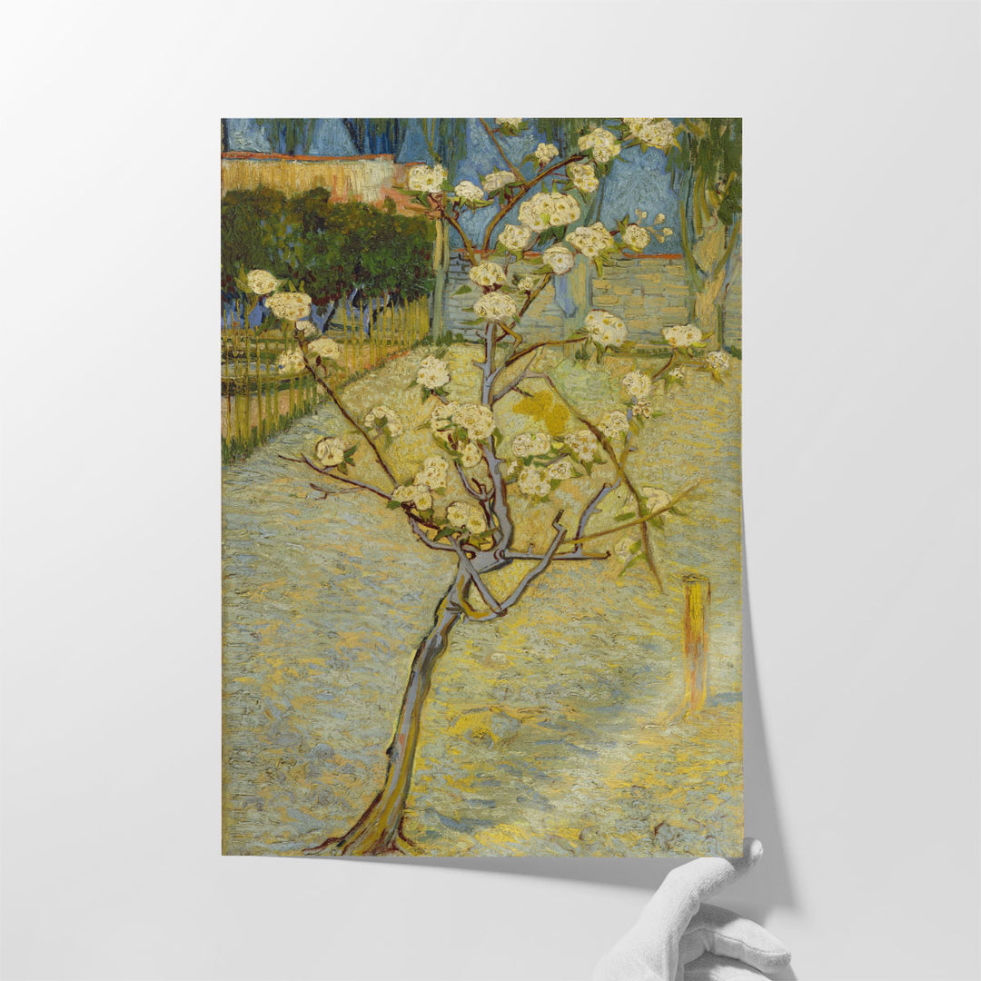 Small Pear Tree in Blossom, 1888 - Canvas Print Wall Art