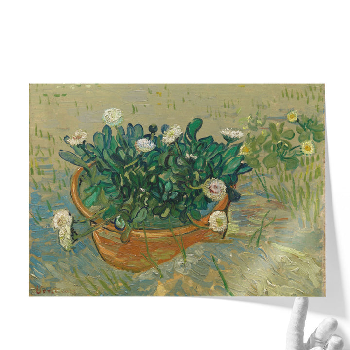 Daisies, Arles, 1888 - Canvas Print Wall Art