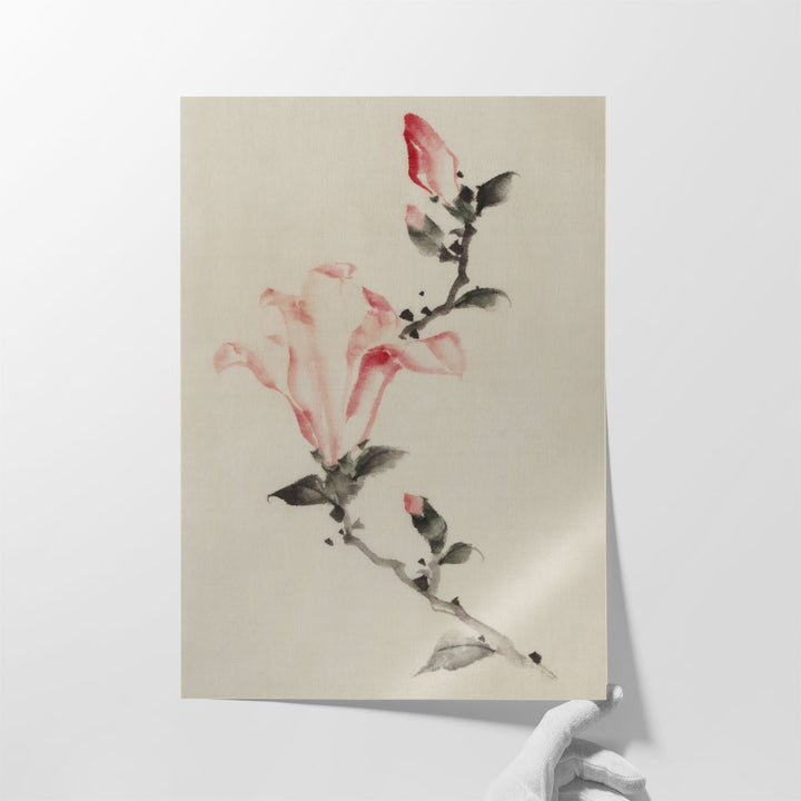Large Pink Blossom on a Stem with Three Additional Buds - Canvas Print Wall Art