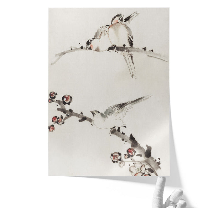 Three Birds Perched on Branches, One with Blossoms - Canvas Print Wall Art