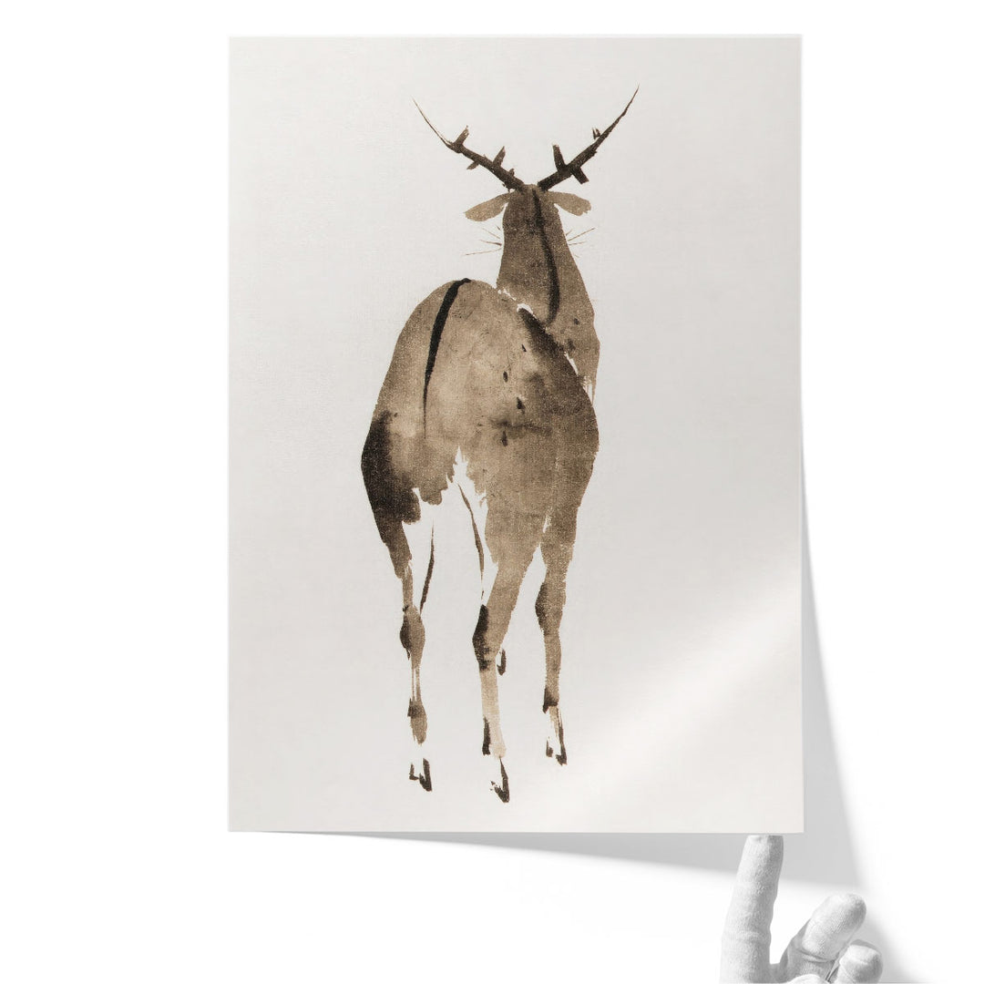 Deer, 1904 - Canvas Print Wall Art