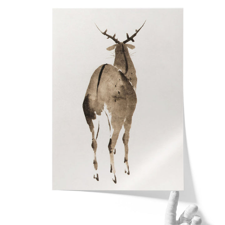 Deer, 1904 - Canvas Print Wall Art
