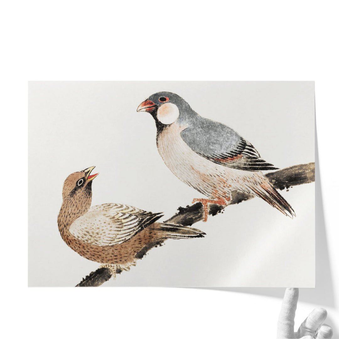 Birds, from Album of Sketches - Canvas Print Wall Art