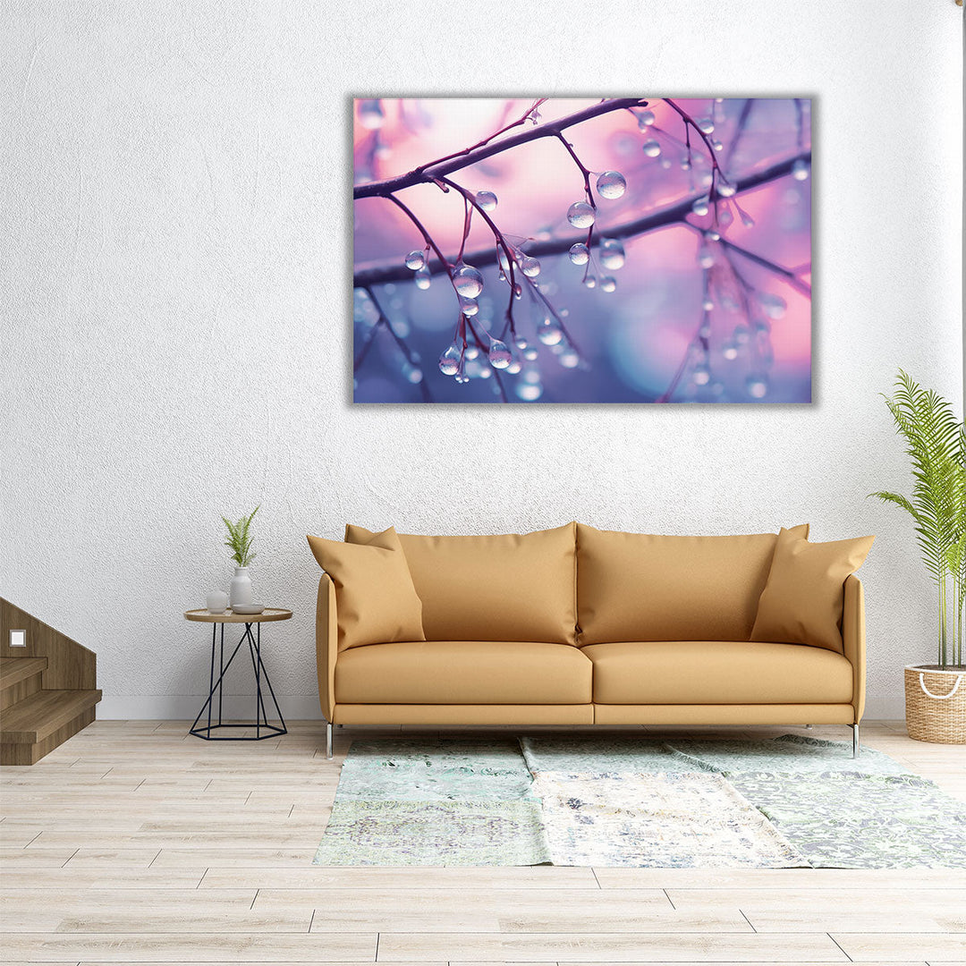 Dewdrops on Tree Branches - Canvas Print Wall Art