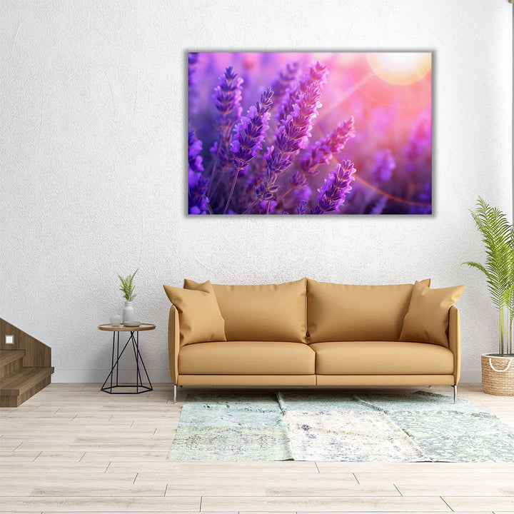 Lavenders Closeup - Canvas Print Wall Art