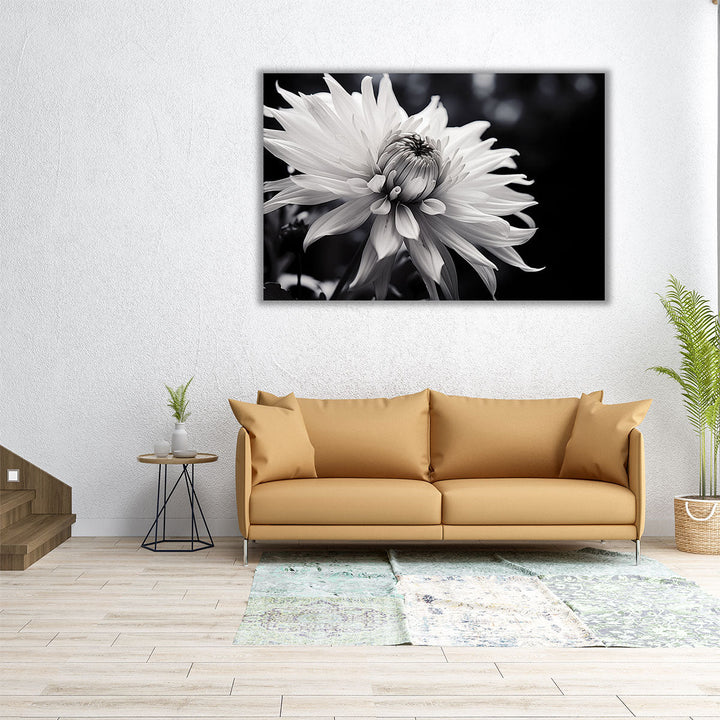 Black and White Bloom - Canvas Print Wall Art