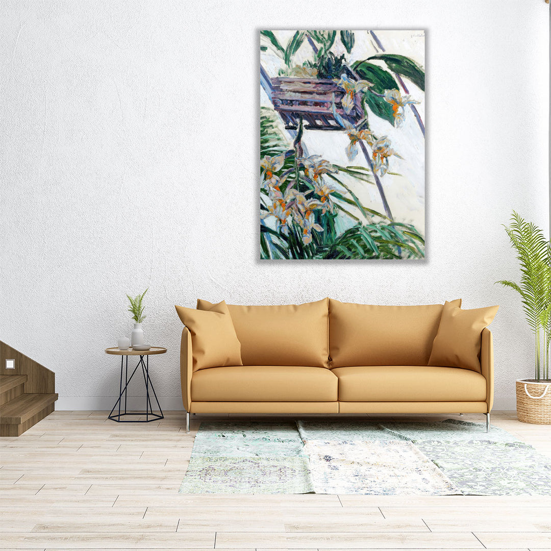 Orchids Gustave Caillebotte - Canvas Print Wall Art