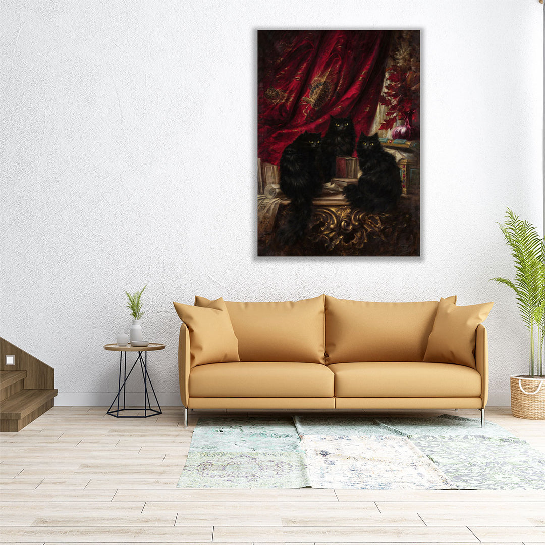 Three Black Cats - Canvas Print Wall Art