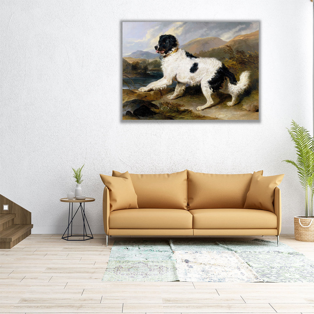 A Newfoundland Dog, 1824 - Canvas Print Wall Art