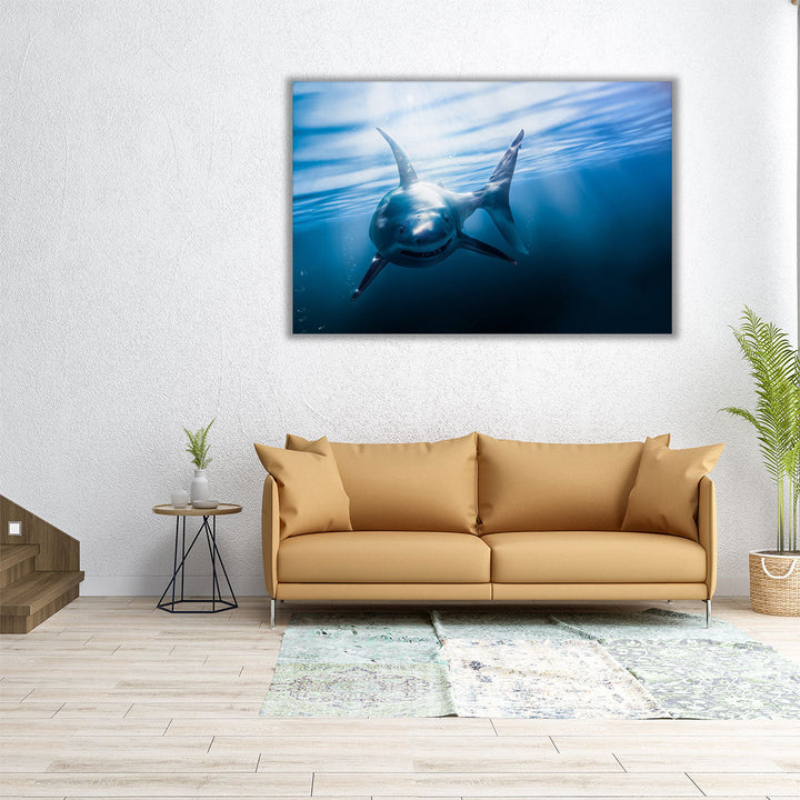 Great White Shark - Canvas Print Wall Art