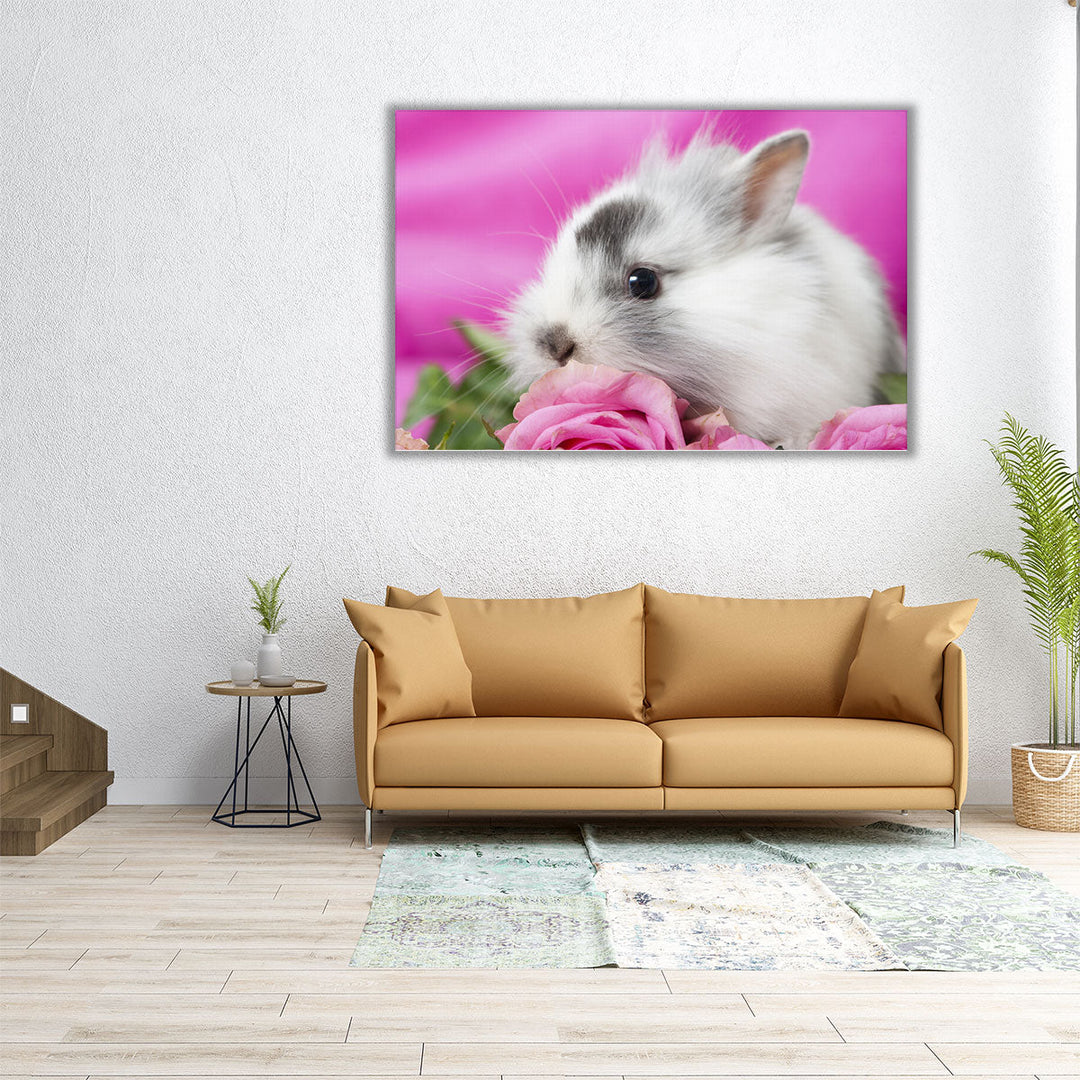 Cute Rabbit With Pink Roses - Canvas Print Wall Art