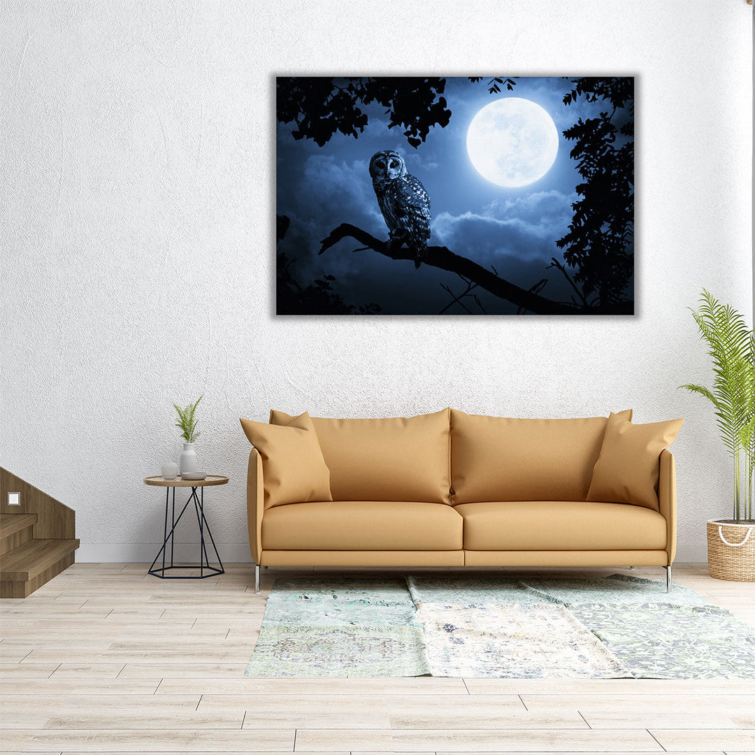 An Owl, Quiet Night, and a Bright Moon - Canvas Print Wall Art