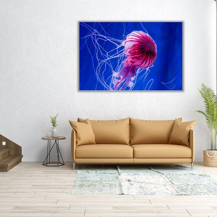 Beautiful Jellyfish Close-up - Canvas Print Wall Art