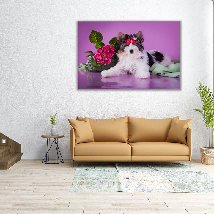 Beaver York Dog With Flowers - Canvas Print Wall Art