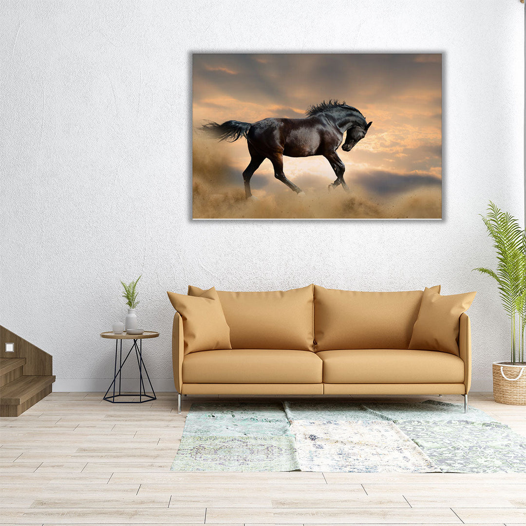 Black Stallion Horse - Canvas Print Wall Art