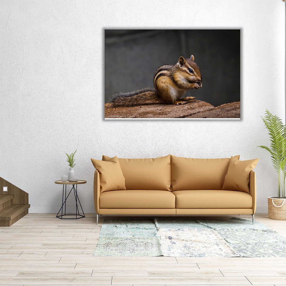 Chipmunk With Stone in His Cute Hands - Canvas Print Wall Art