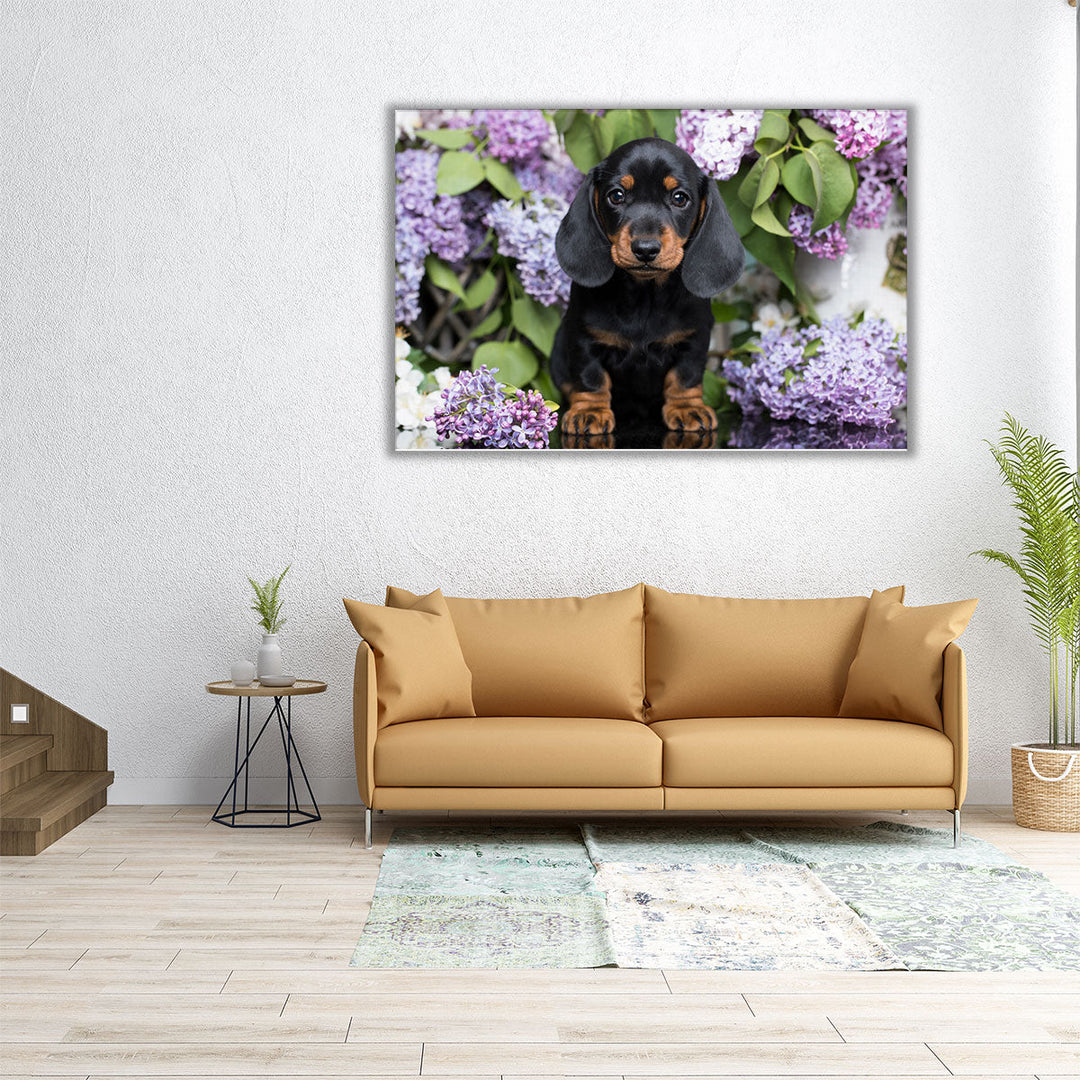 Dachshund with Flowers - Canvas Print Wall Art