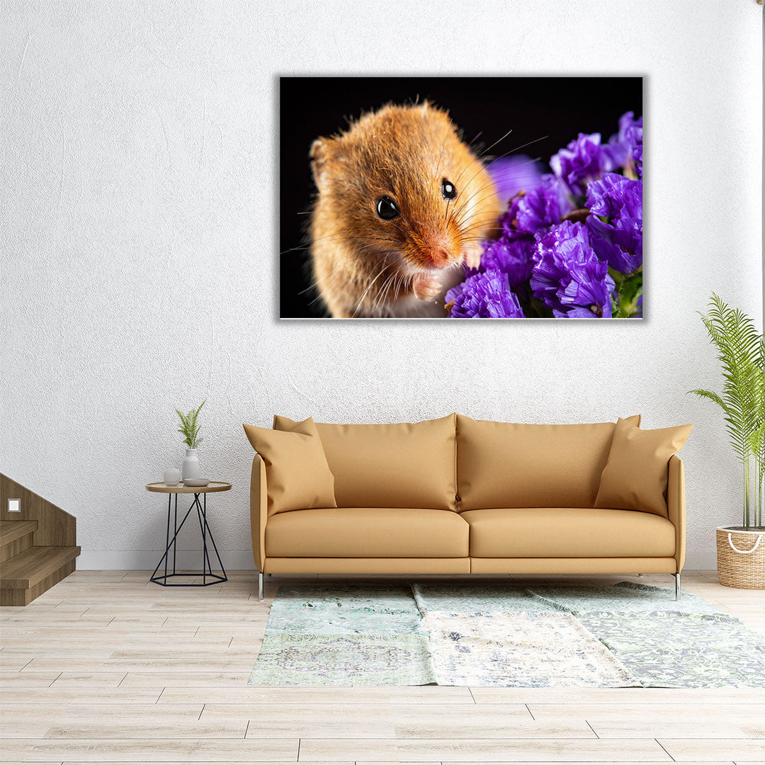 Harvest Mice On Flowers - Canvas Print Wall Art