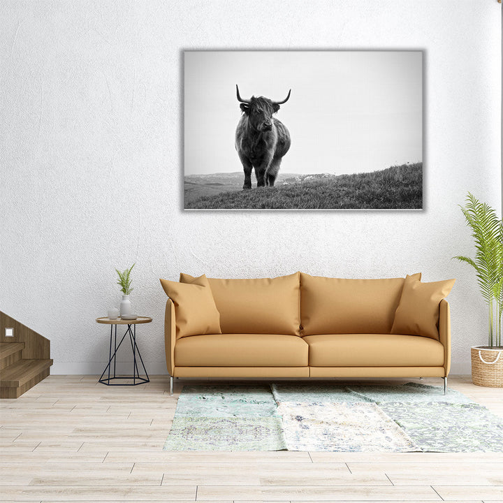 Highland Cow - Black and White - Canvas Print Wall Art