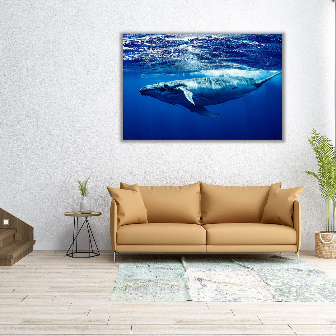 Humpback Whale - Canvas Print Wall Art