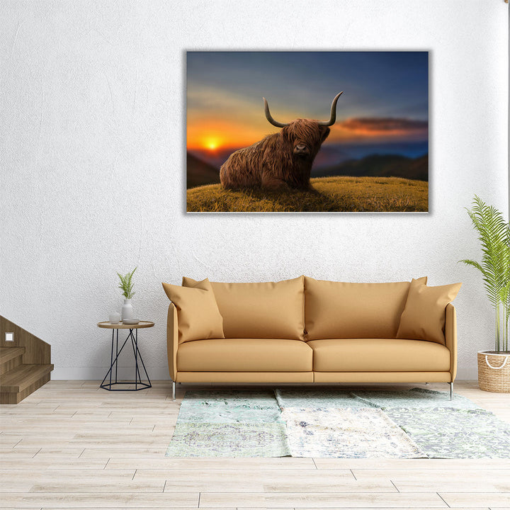 Large Highland Cow in a Meadow - Canvas Print Wall Art