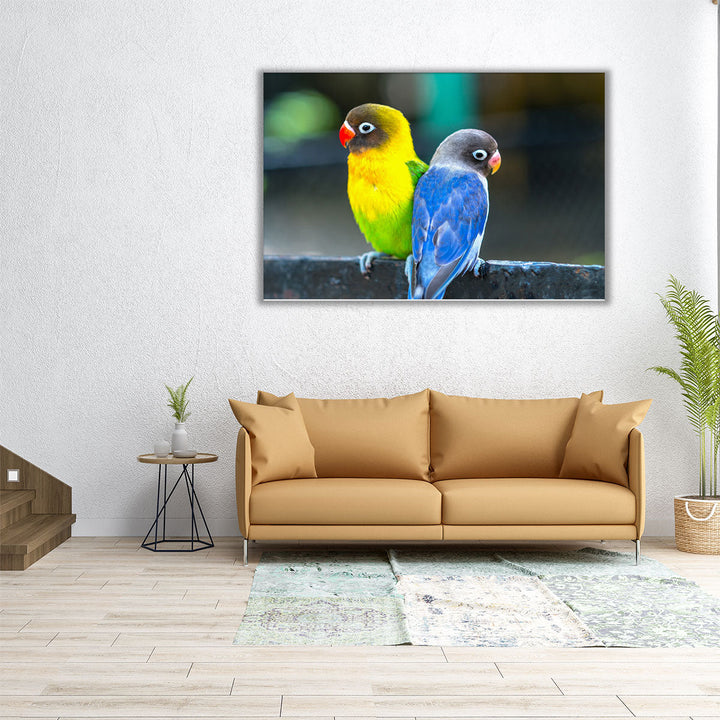 Lovebird Parrots Sitting Together - Canvas Print Wall Art