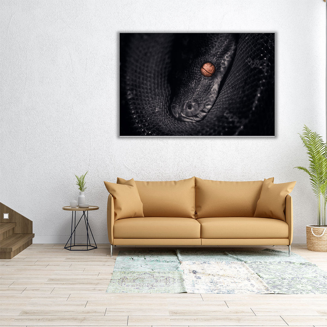 Python Snake Photography - Canvas Print Wall Art