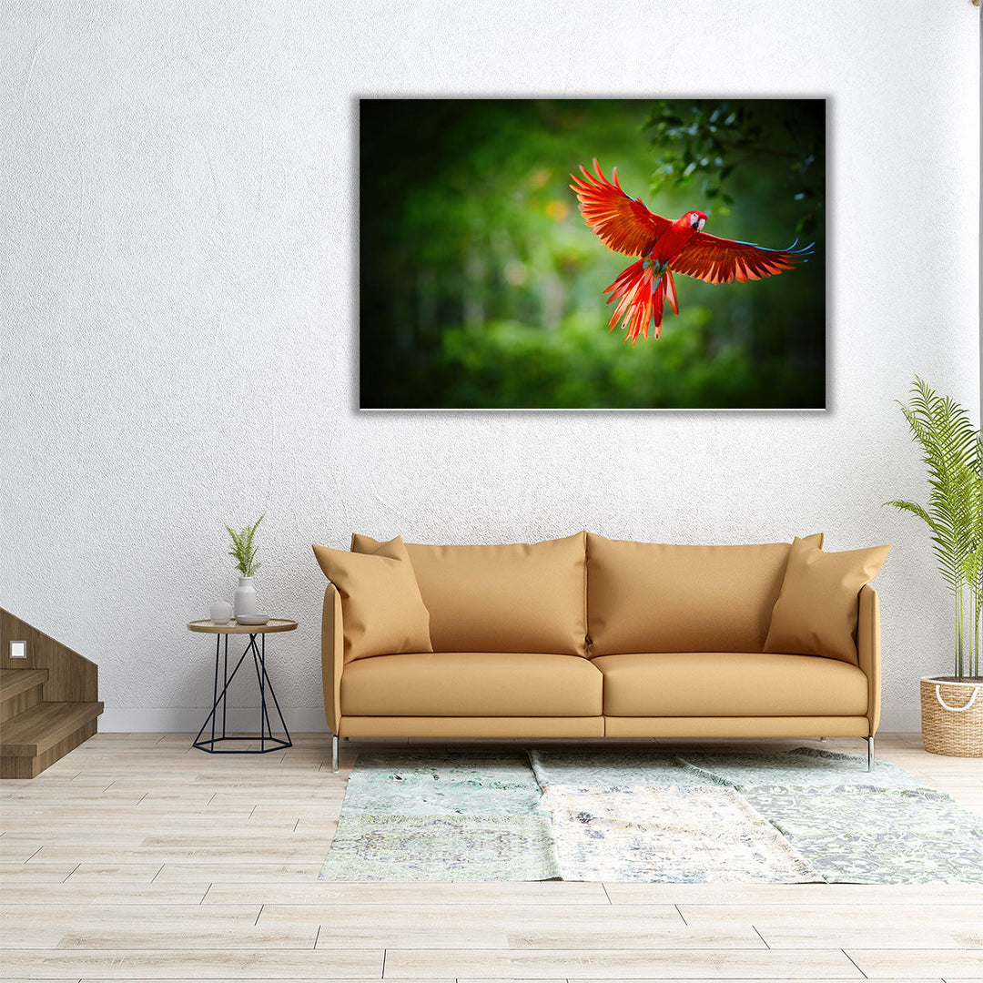 Scarlet Macaw Parrot - Canvas Print Wall Art