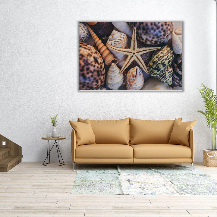 Seashells and Starfish - Canvas Print Wall Art